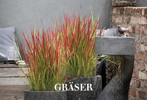 Gräser