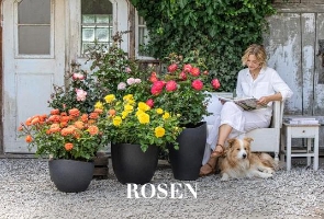Rosen