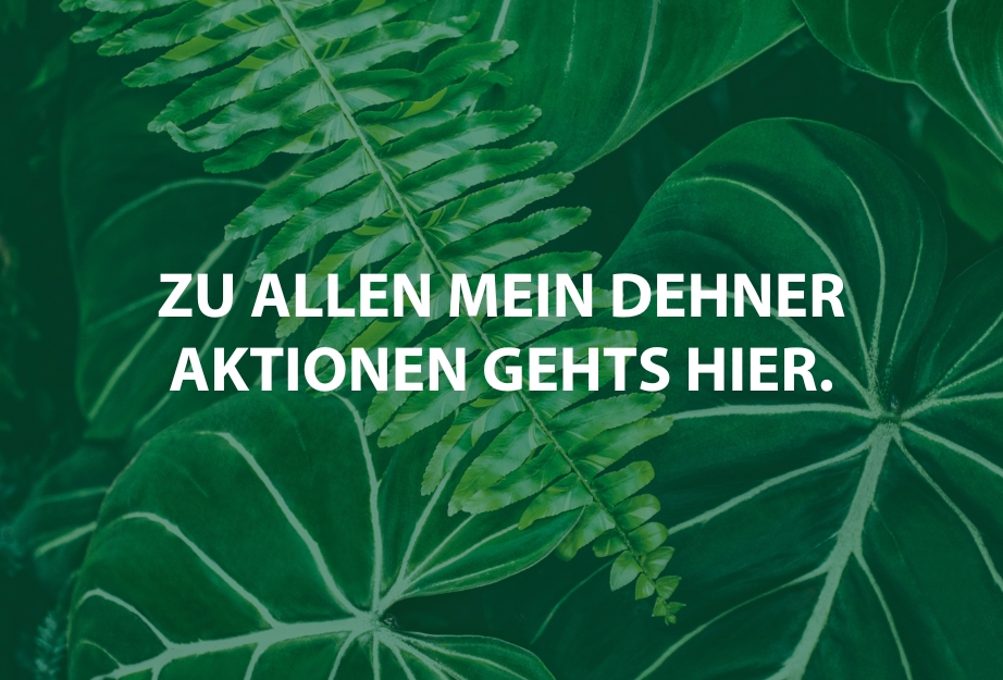 Noch mehr profitieren mit Mein Dehner?