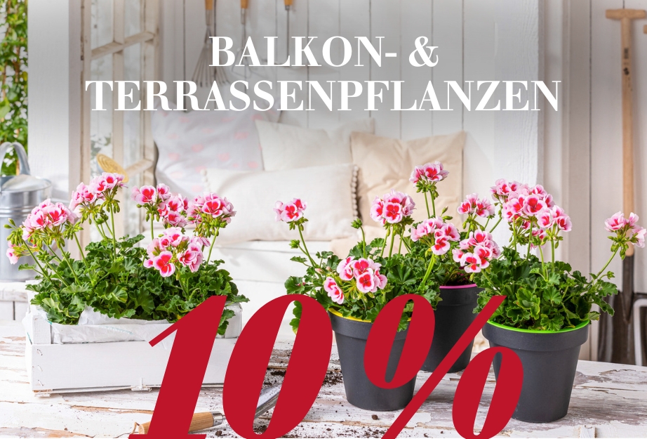 10 % auf Balkon- & Terassenpflanzen