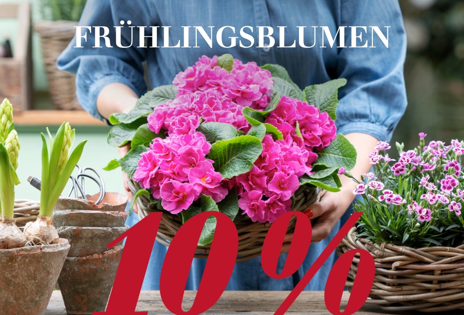 10 % auf Frühlingsblumen