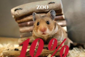 Zoo