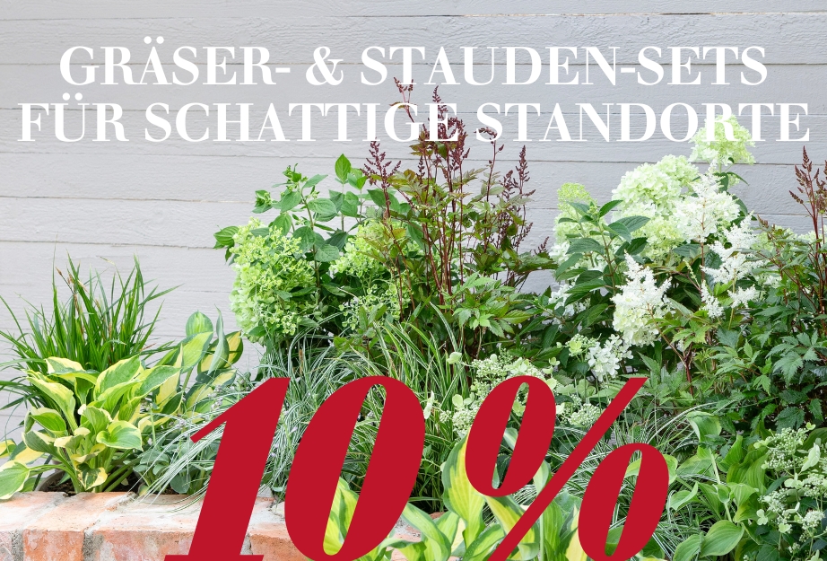 Gräser- & Stauden-Sets für schattige Standorte
