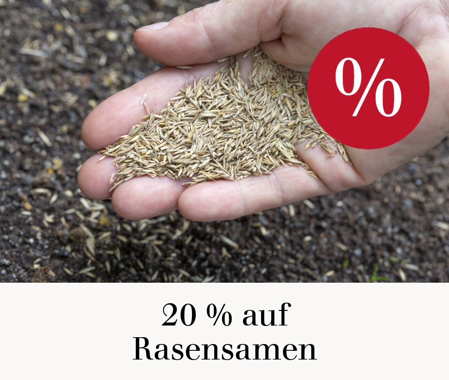 20 % auf Rasensamen