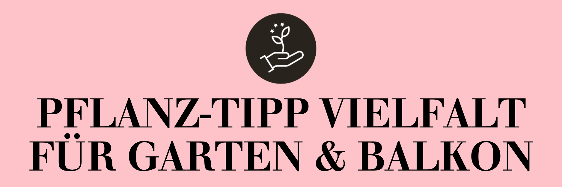 Pflanz-Tipp Vielfalt für Garten & Balkon