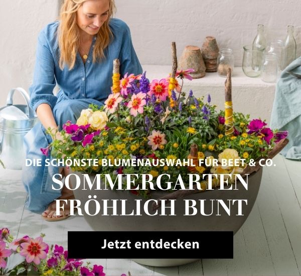 Die schönste Blumenauswahl für Beet & Co. - Sommergarten fröhlich bunt