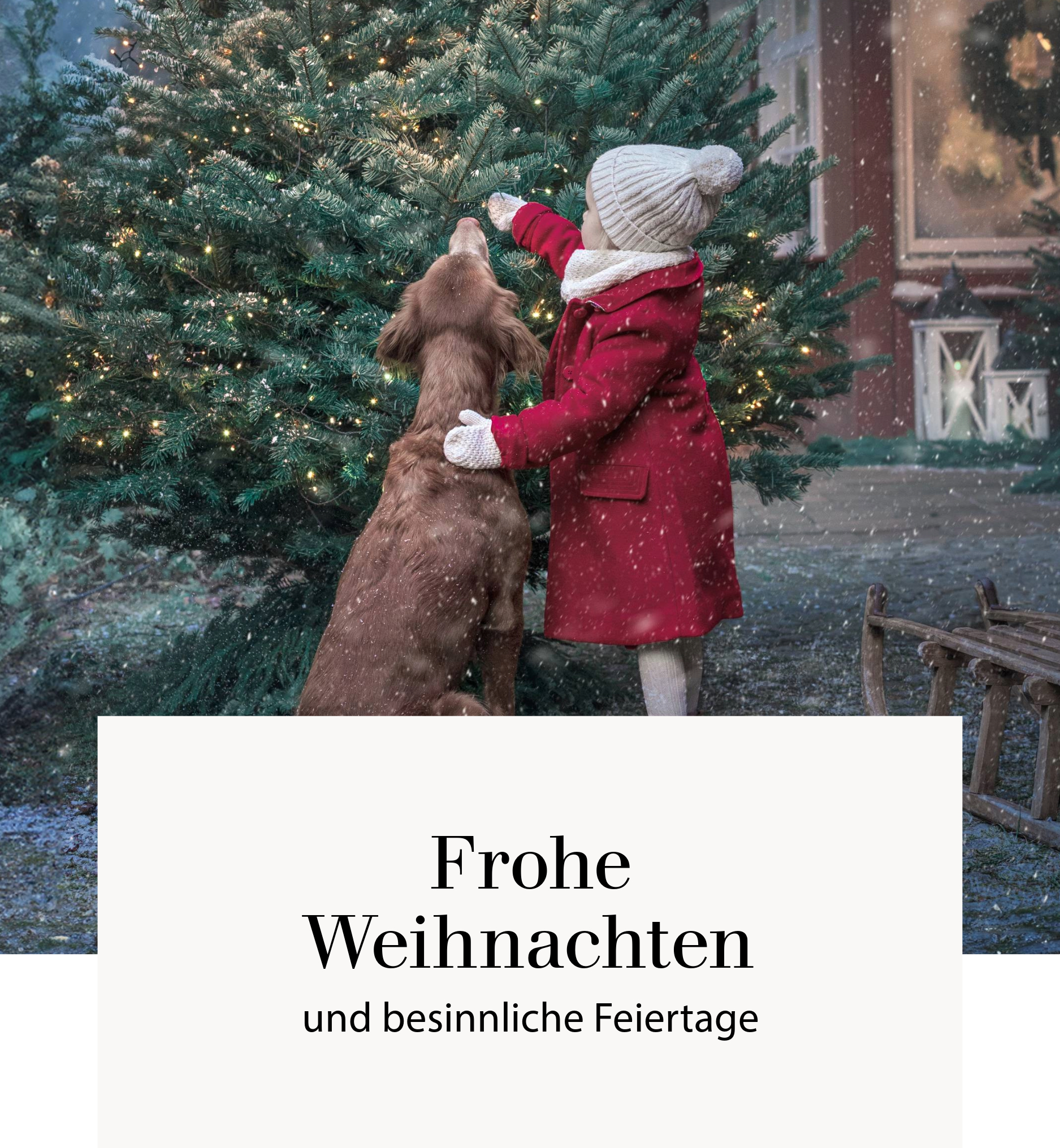 Frohe Weihnachten und besinnliche Feiertage