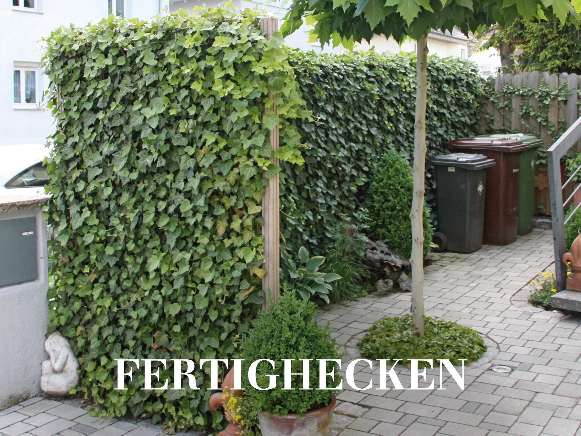 Fertighecken