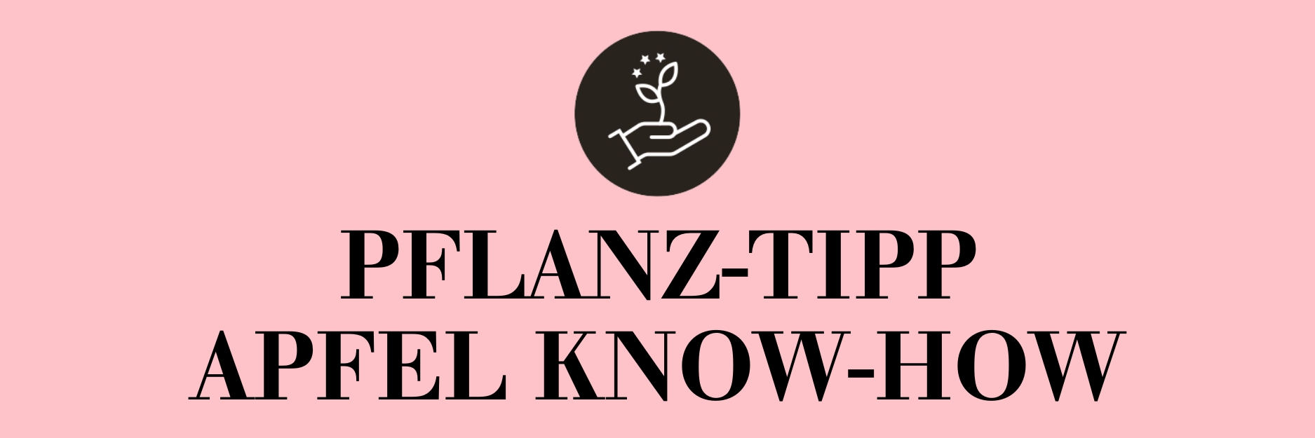Pflanz-Tipp Apfel Know-How