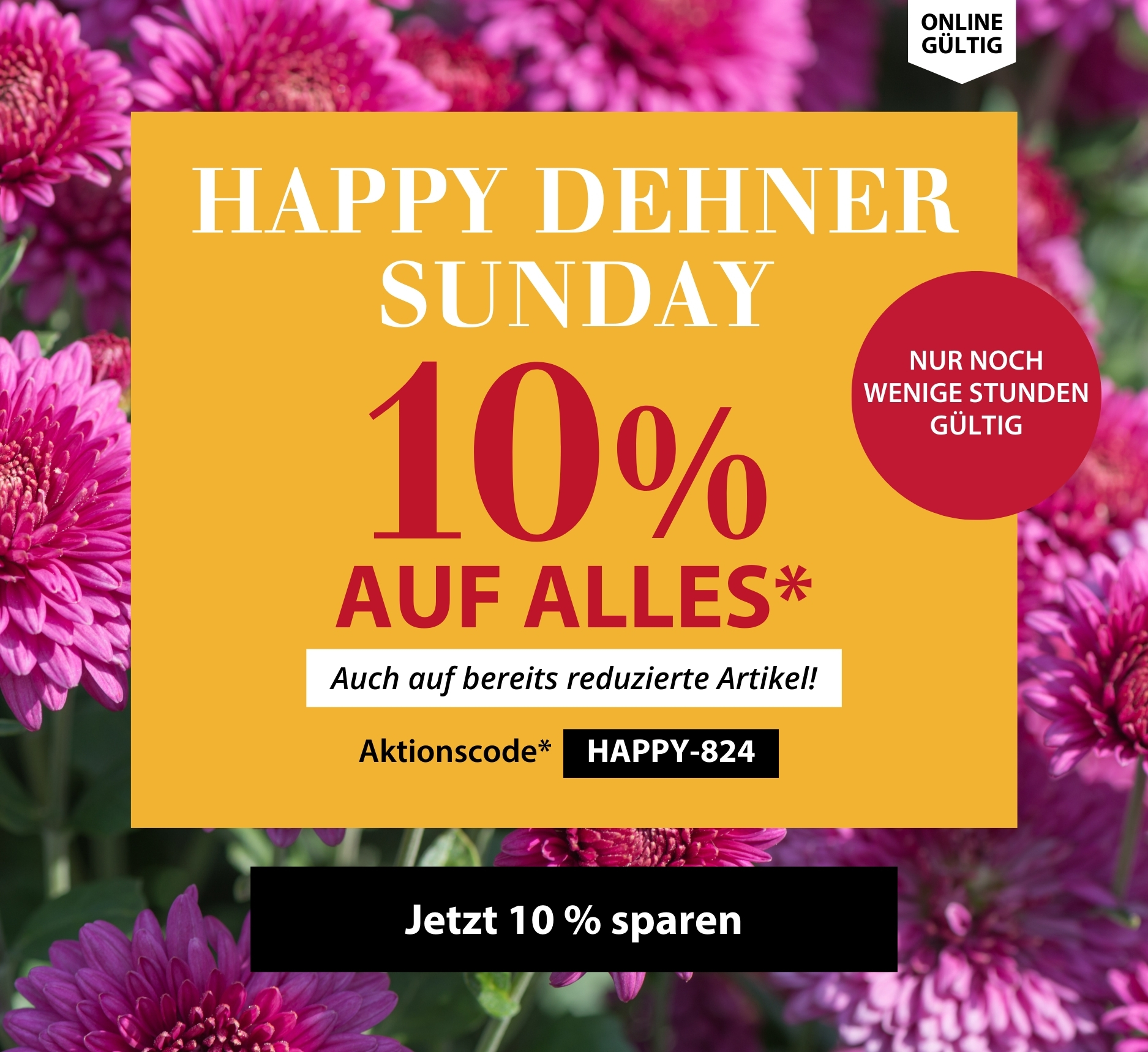 10 % auf ALLES - Happy Dehner Sunday