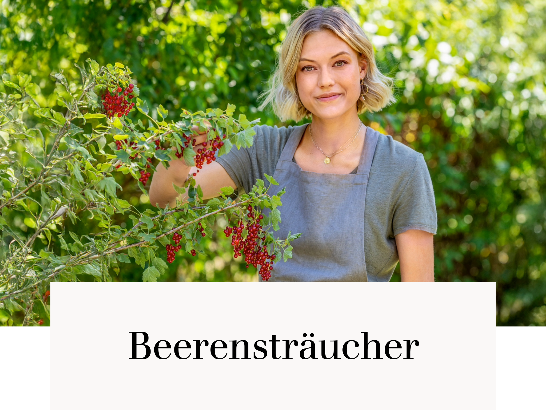 Beerensträucher