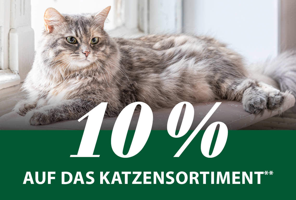 10 % das Katzensortiment**