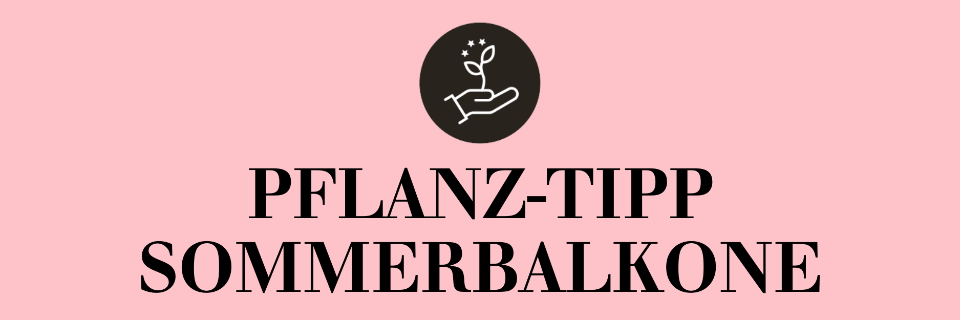 Pflanz-Tipp Sommerbalkone