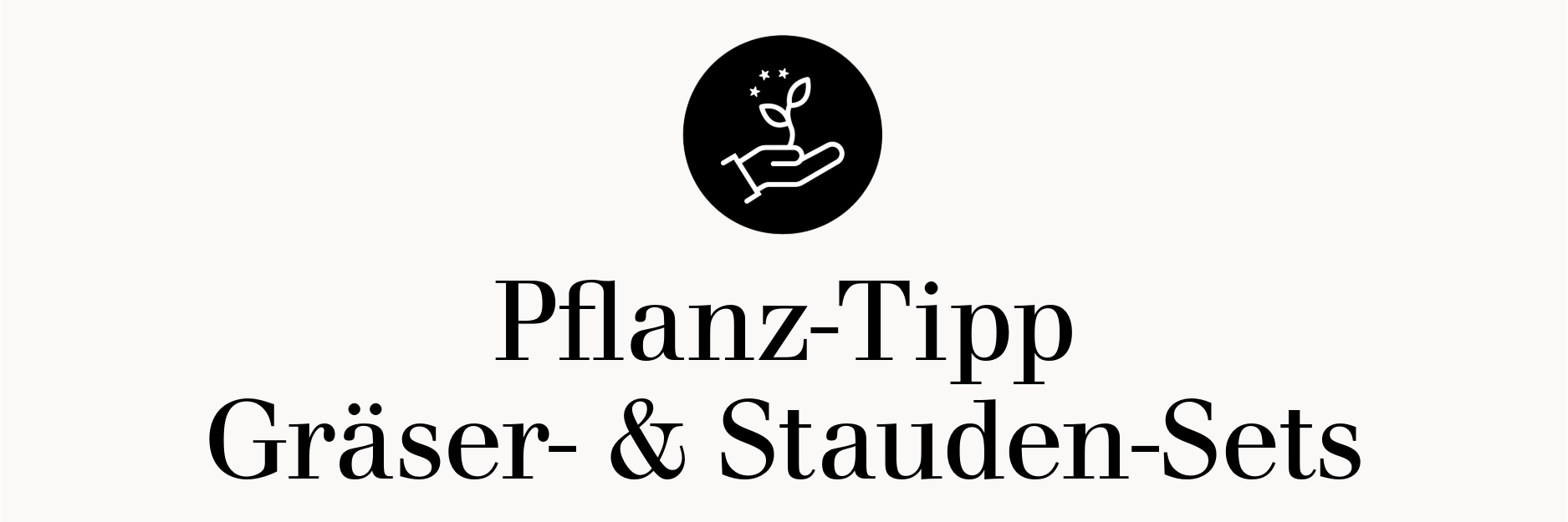 Pflanztipp Gräser- und Staudensets