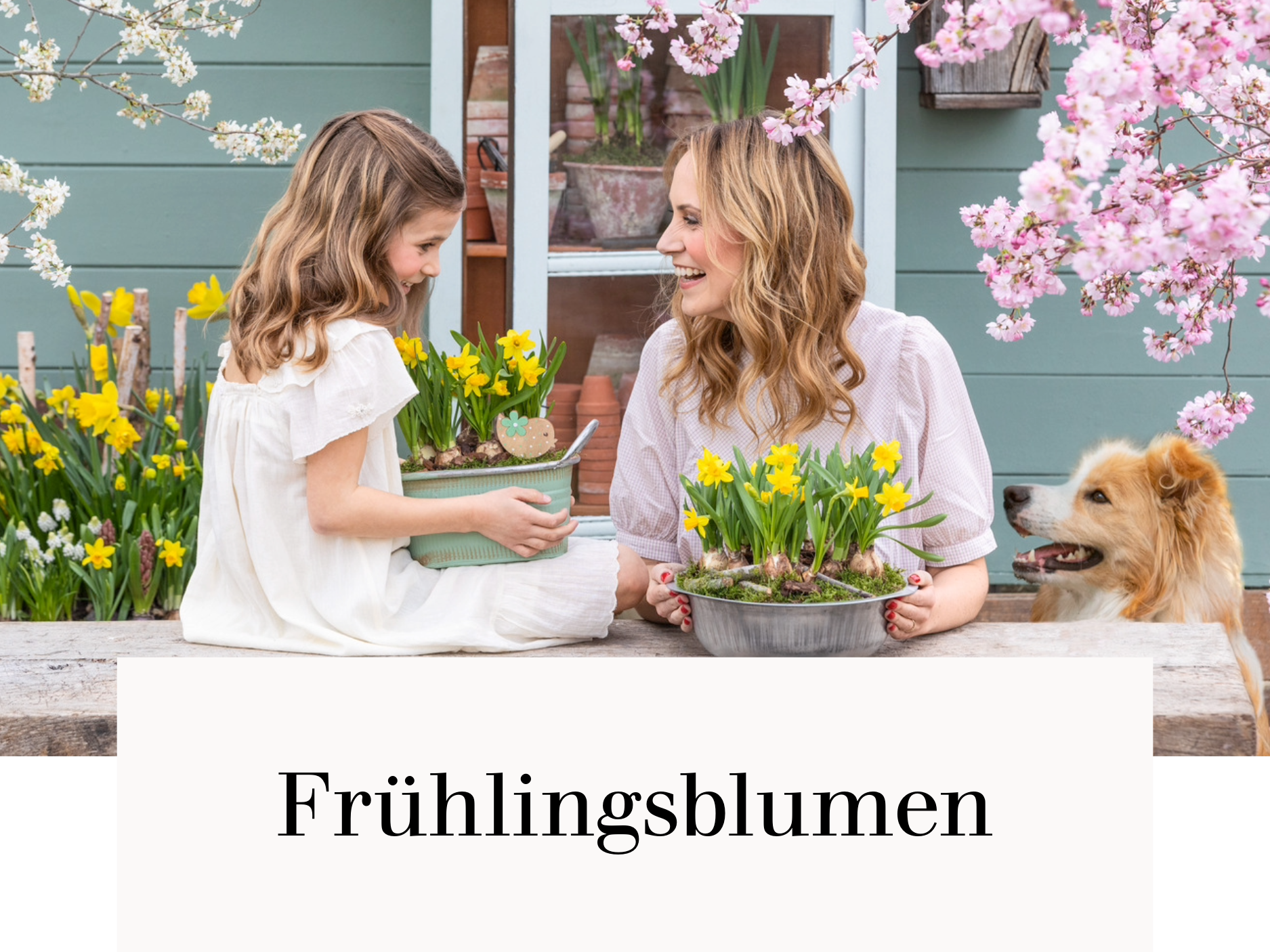 Frühlingsblumen