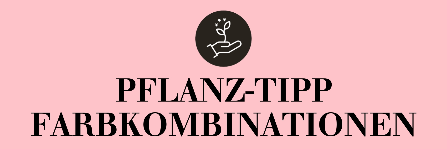 Pflanz-Tipp