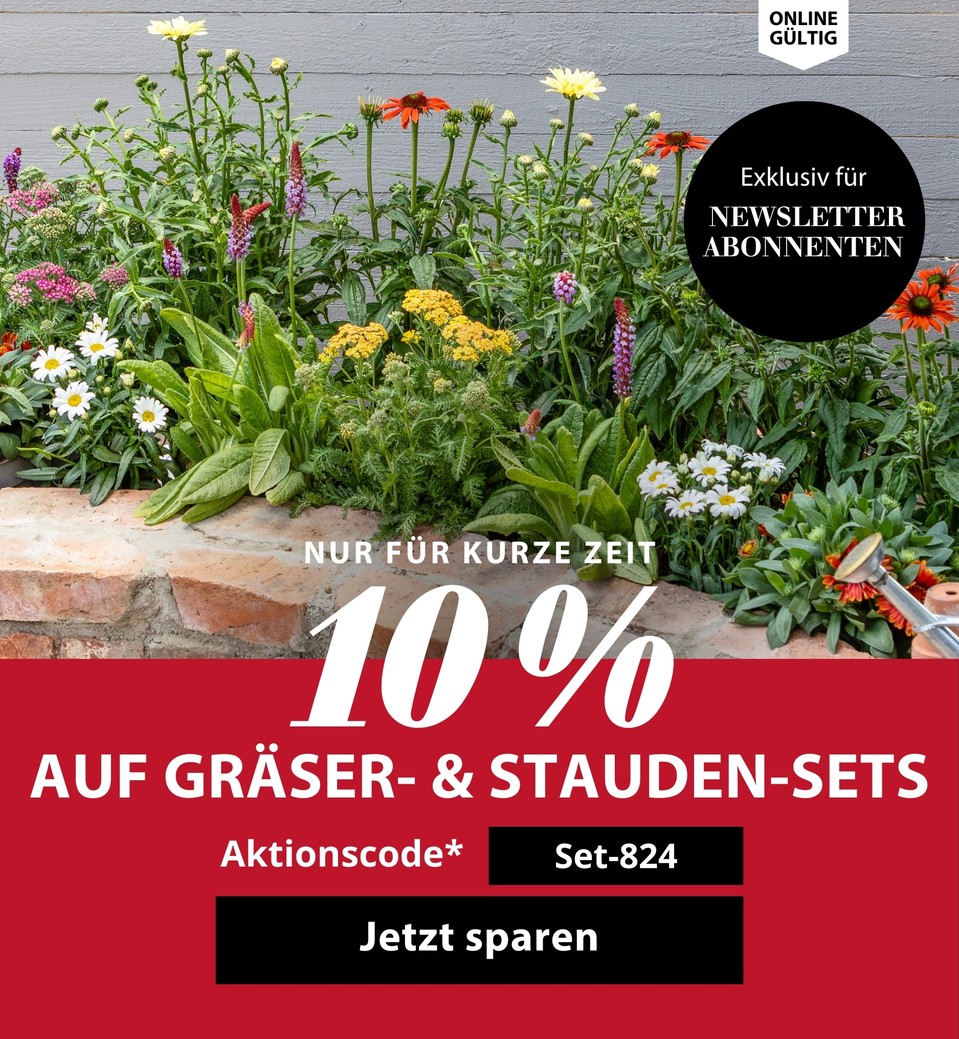 10 % auf alle Gräser- und Staudensets