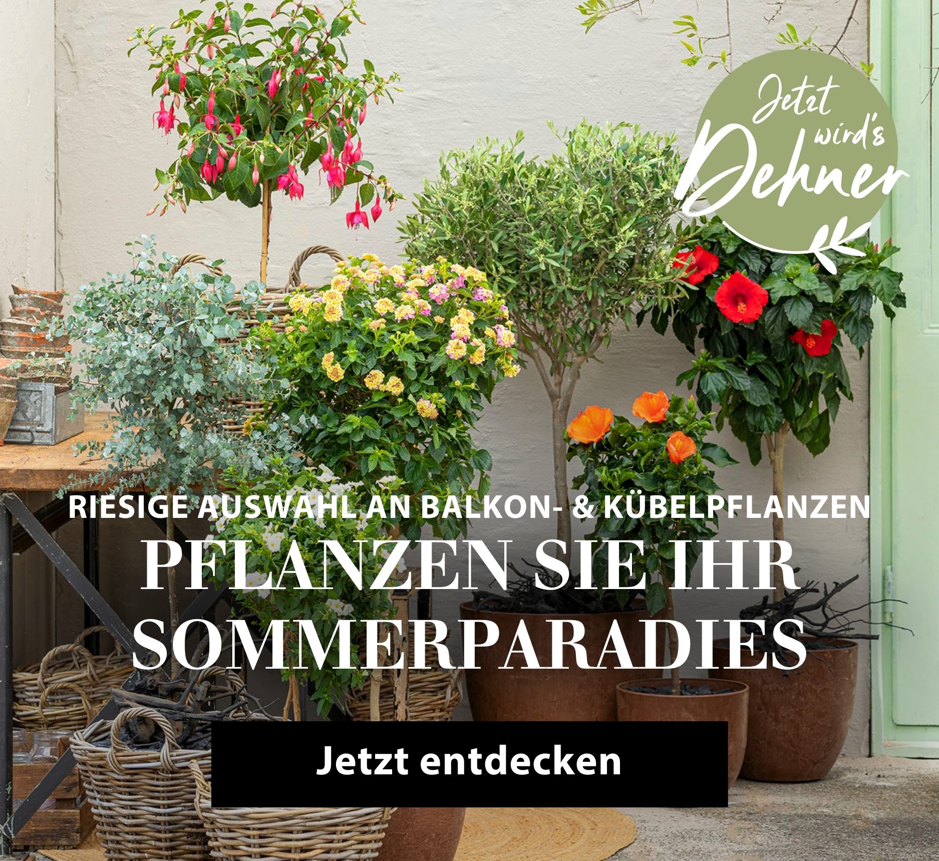 Pflanzen Sie Ihr Sommerparadies