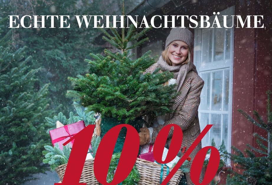 Echte Weihnachtsbäume