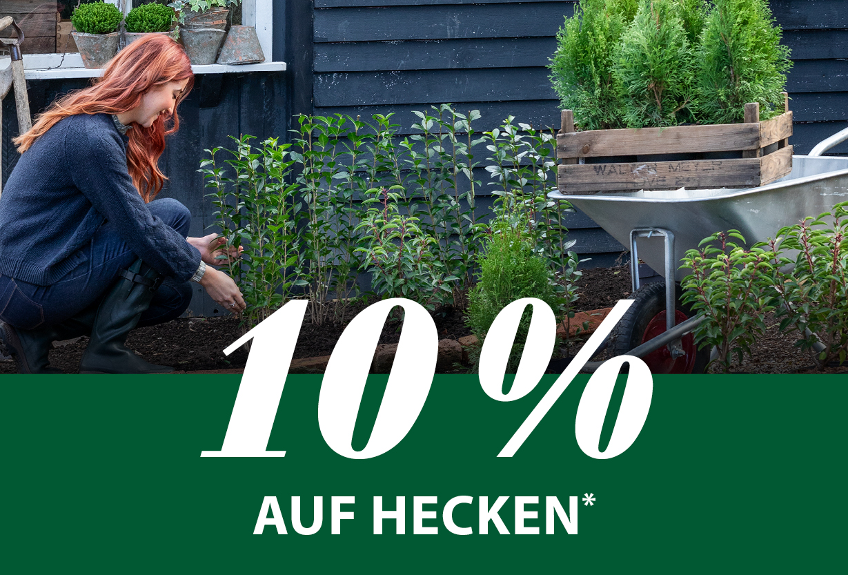 10 % auf Hecken*