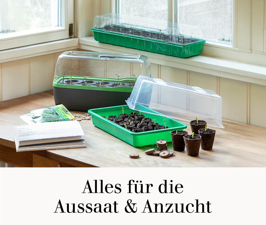 Alles für die Aussaat & Anzucht