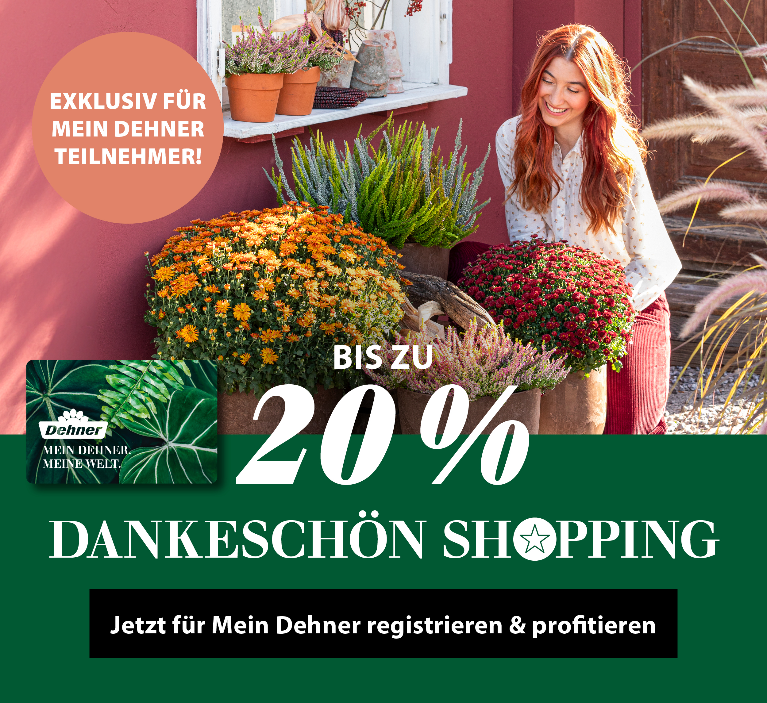 Exklusive Mein Dehner Aktion: Bis zu 20 % sparen
