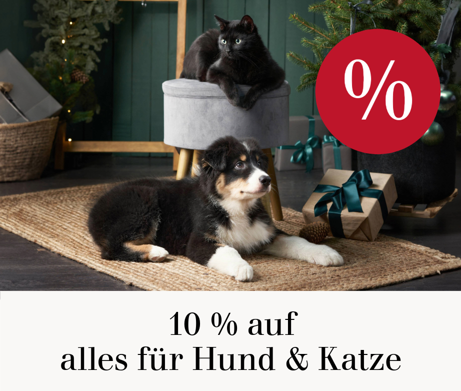 10 % auf alles für Hund & Katze