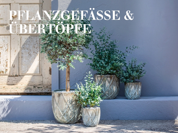 Pflanzgefässe & Übertöpfe