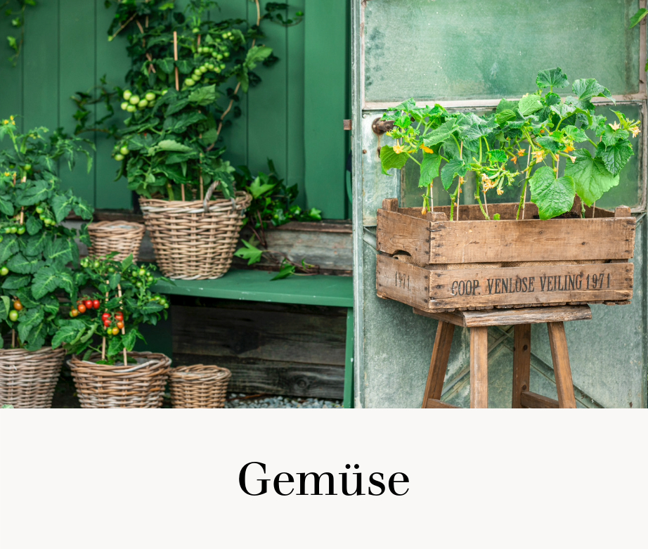 Gemüse