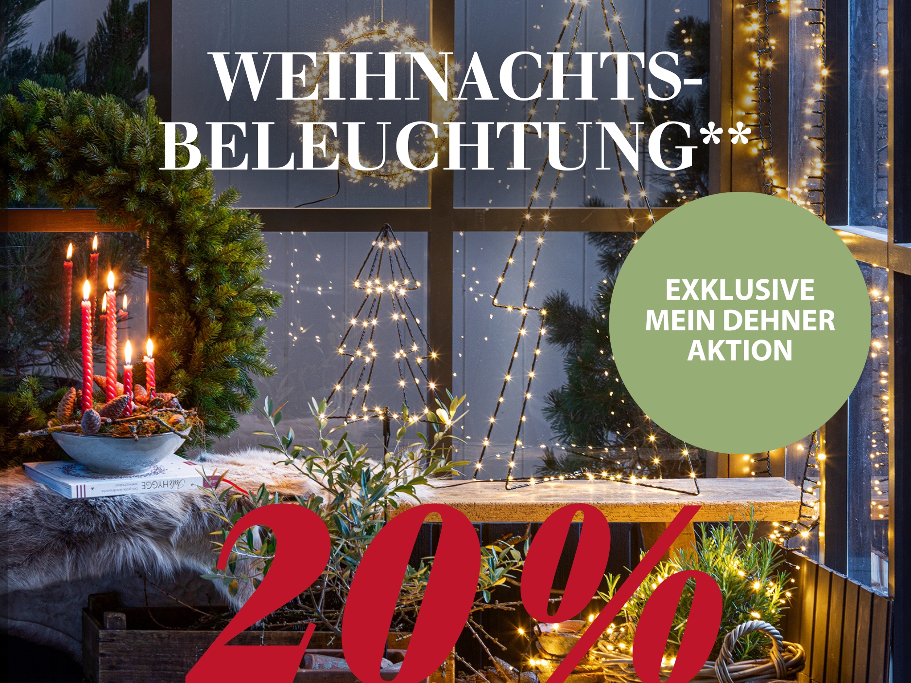 20 % auf Weihnachtsbeleuchtung**