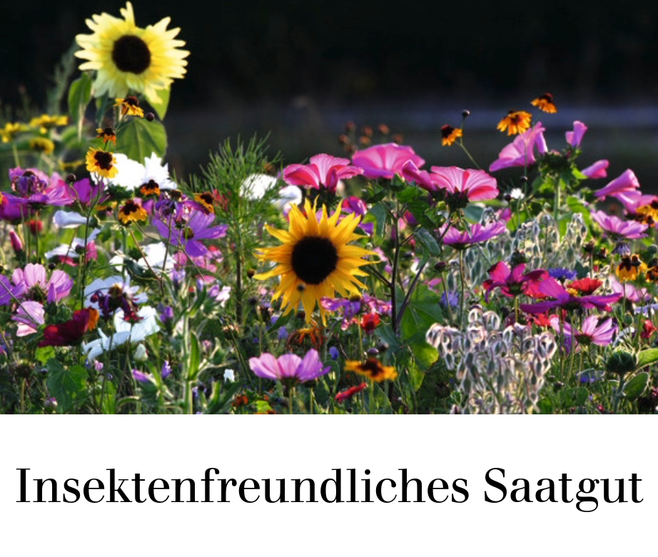 Insektenfreundliches Saatgut