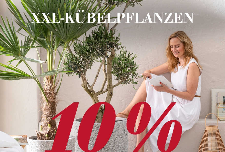 10 % auf XXL-Kübelpflanzen