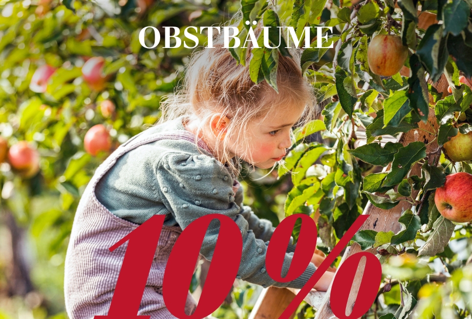 10 % auf Obstbäume