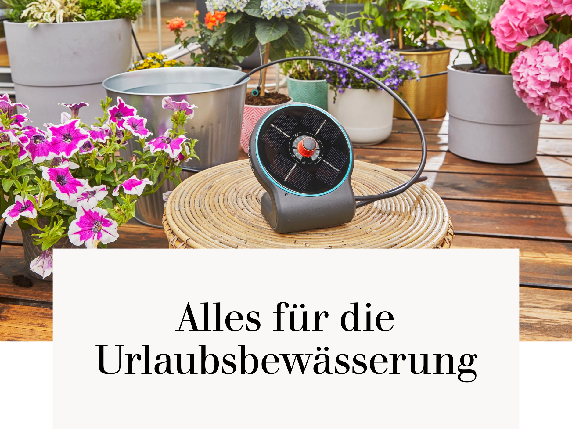 Alles für die Urlaubsbewässerung