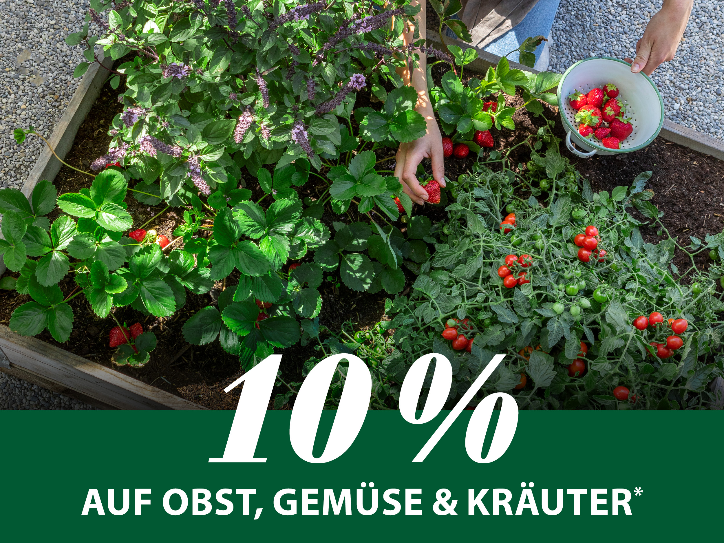 10 % auf Obst, Gemüse & Kräuter*