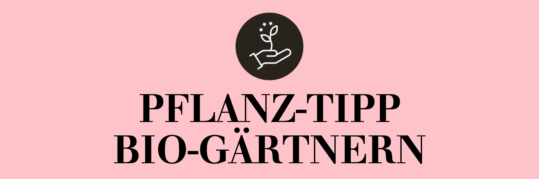 Pflanz-Tipp
