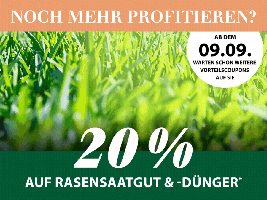 Das Mein Dehner Dankeschön Shopping geht weiter
