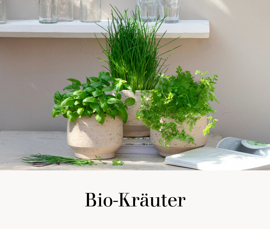 Bio-Kräuter