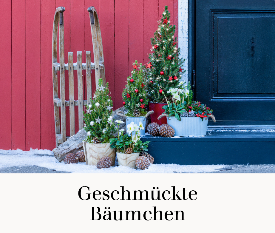Geschmückte Bäumchen