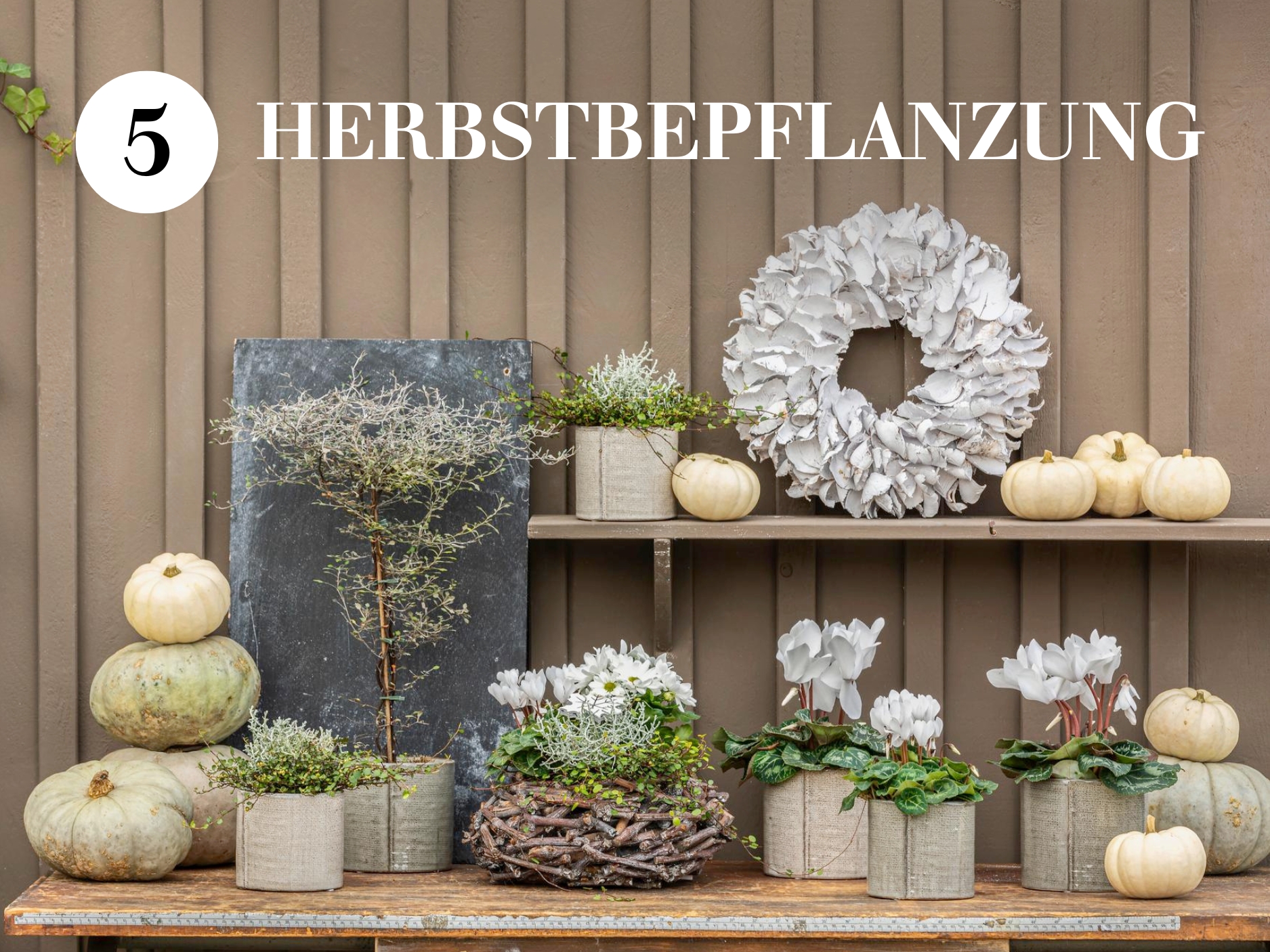 Herbstbepflanzung