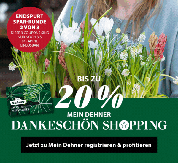 Exklusive Mein Dehner Aktion: Bis zu 20 % sparen
