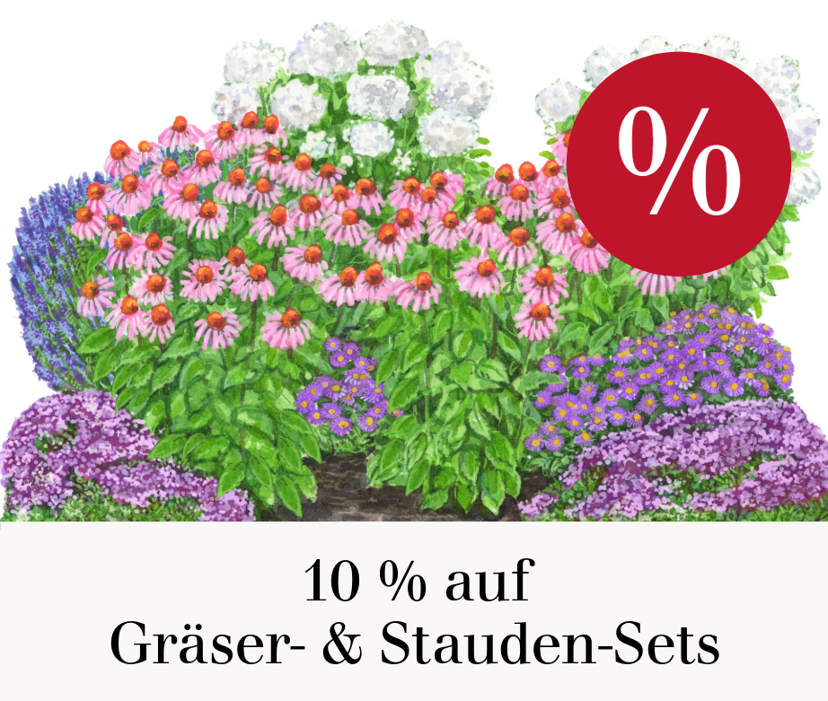 10 % auf Gräser- & Staudensets