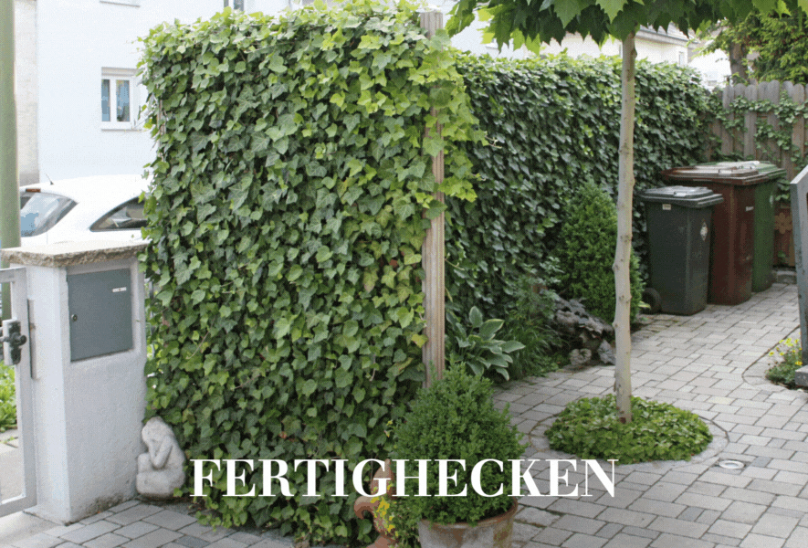 Fertighecken