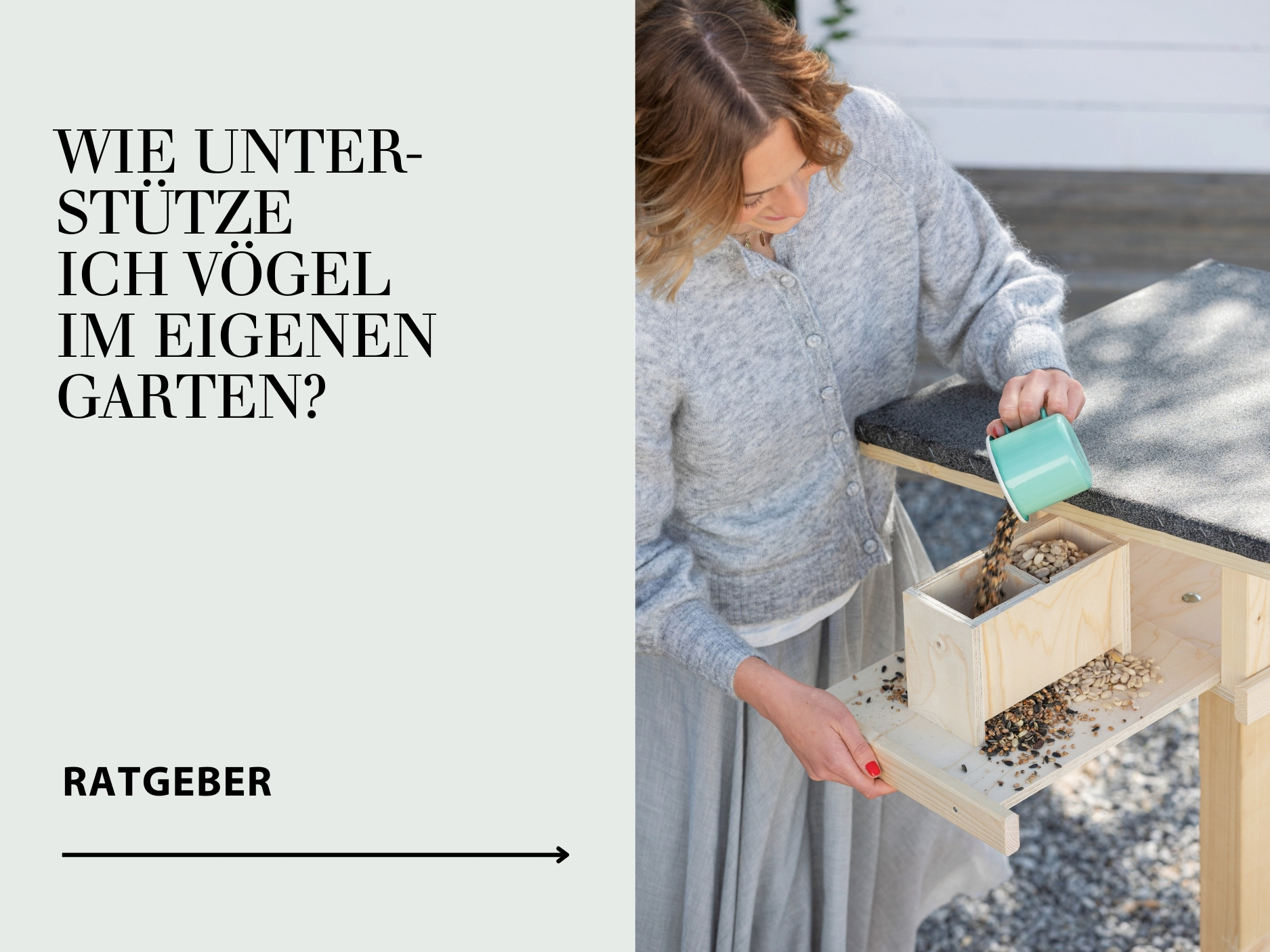 Ratgeber Wildvogelfütterung 