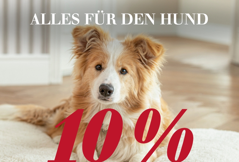 Nur noch heute - 10 % auf Alles für den Hund