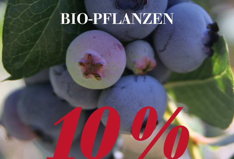 10 % auf Bio-Pflanzen