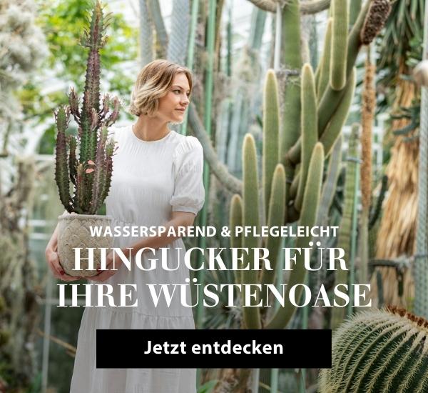 Hingucker für Ihre Wüstenoase