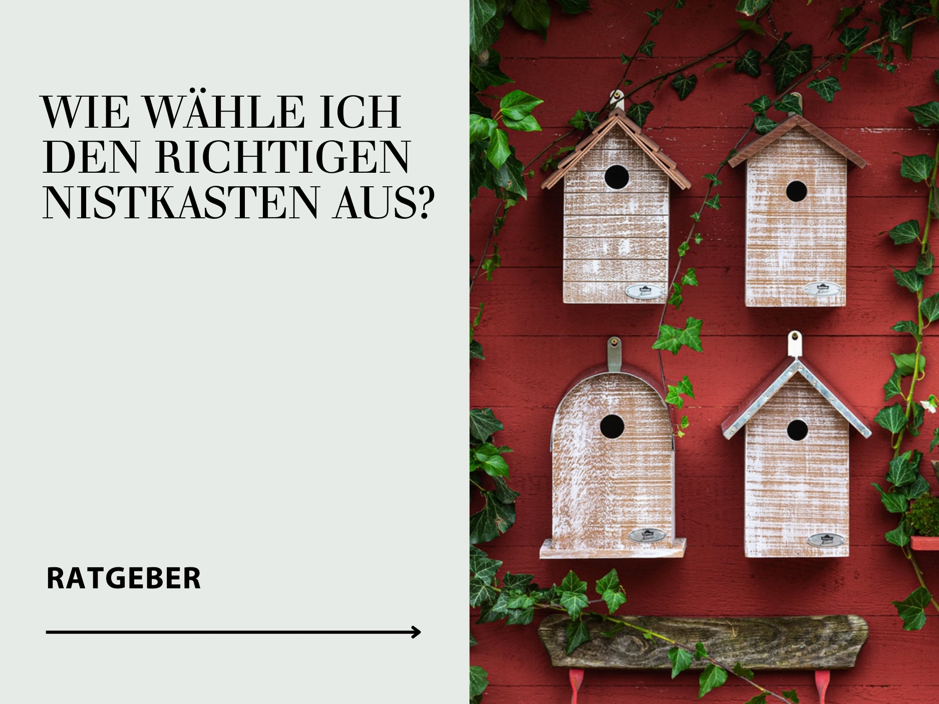Ratgeber Nistkästen