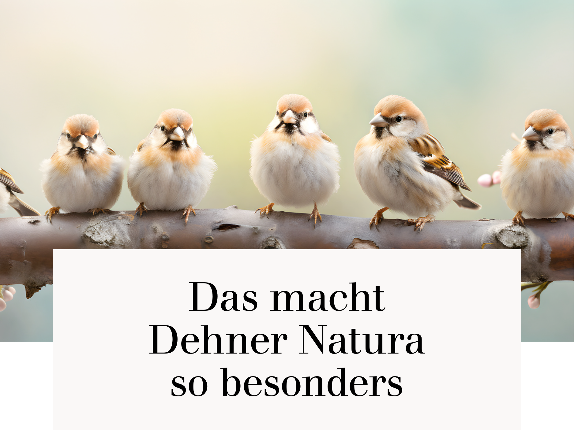 Das macht Dehner Natura so besonders