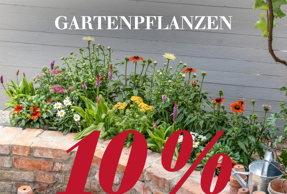 10 % auf Gartenpflanzen